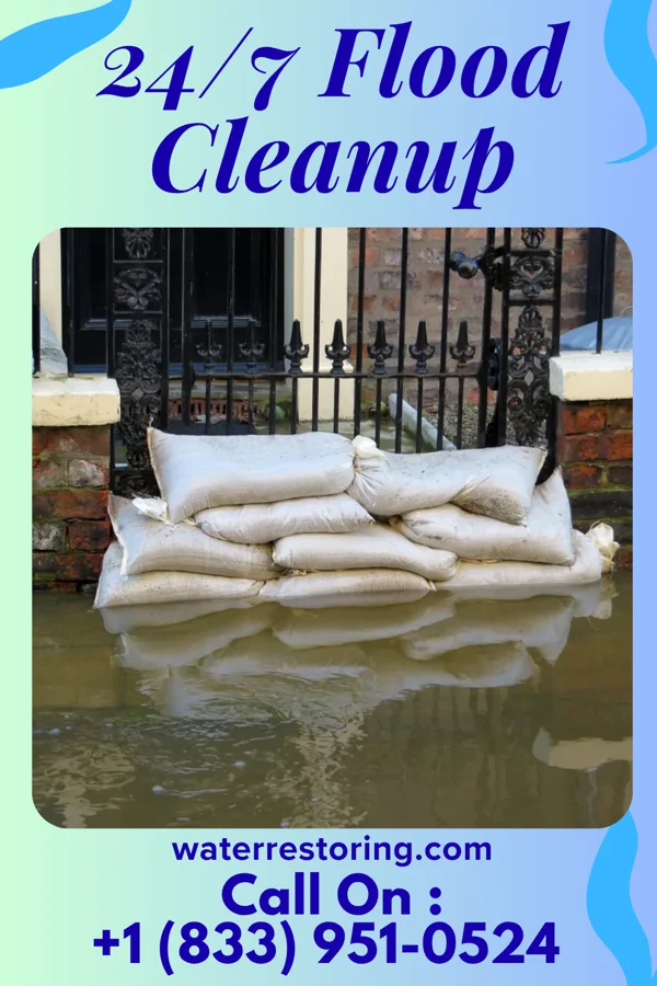 24/7 Flood Cleanup in Symonds, MS