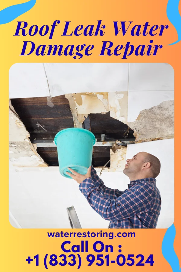 Roof Leak Water Damage Repair in Symonds, MS