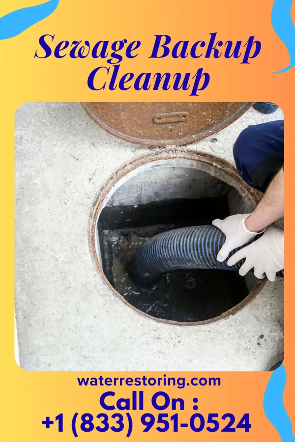 Sewage Backup Cleanup in Symonds, MS