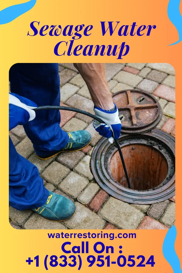 Sewage Water Cleanup in Symonds, MS